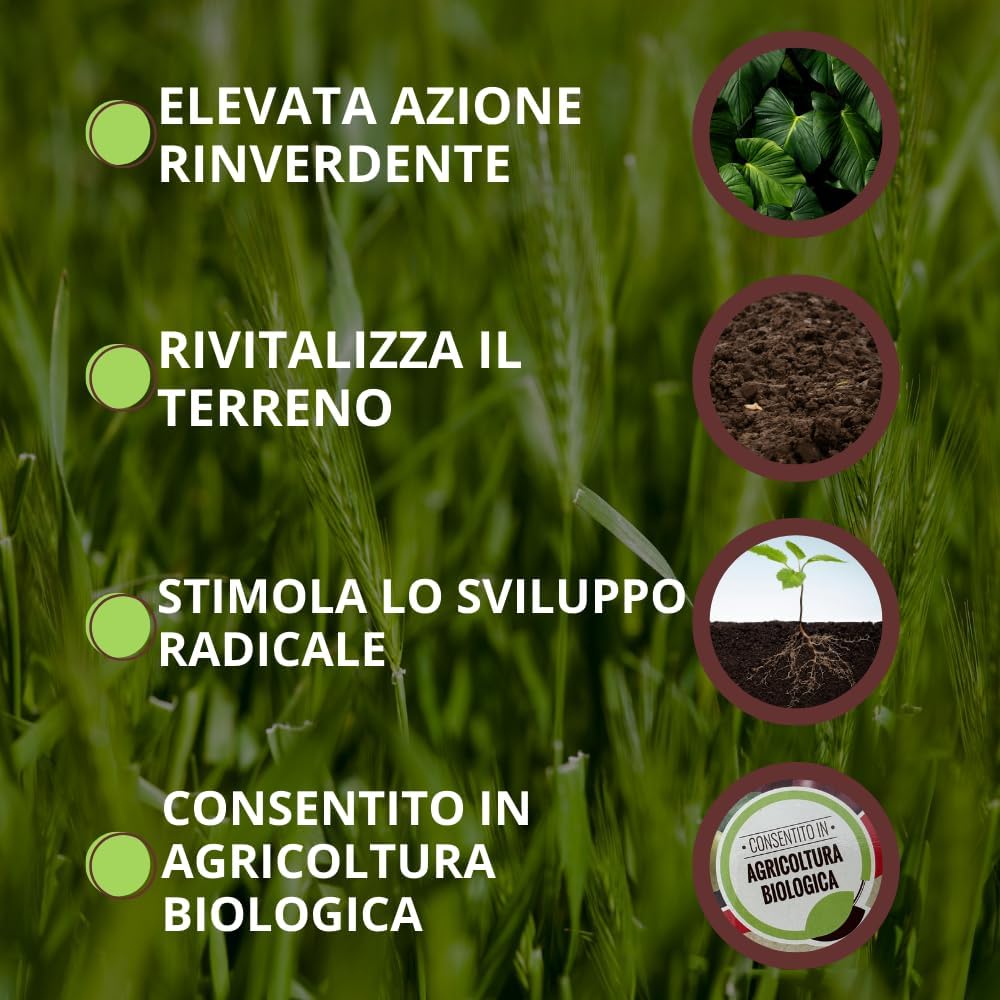 VITHAL Bio Integratore Blackjak Naturale Per Piante Sane E Terreni Rigenerati